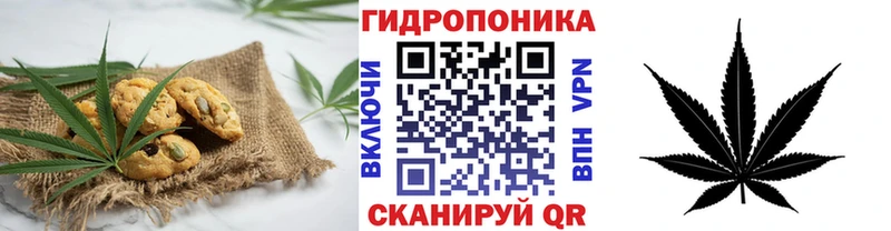 купить наркотик  Лосино-Петровский  Canna-Cookies конопля 