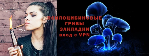 стаф Алексеевка