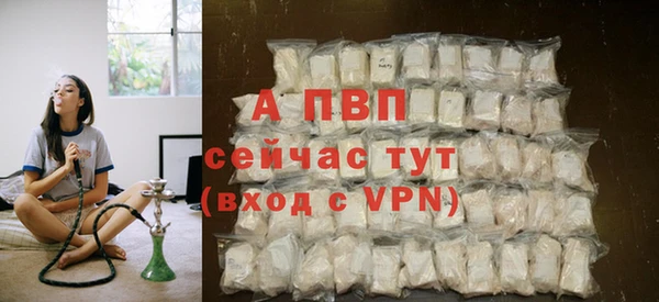 СК Абинск