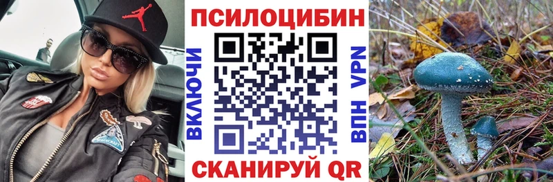 купить   Лосино-Петровский  omg tor  Галлюциногенные грибы GOLDEN TEACHER 